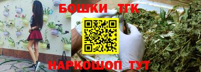 мдпв Жуковский