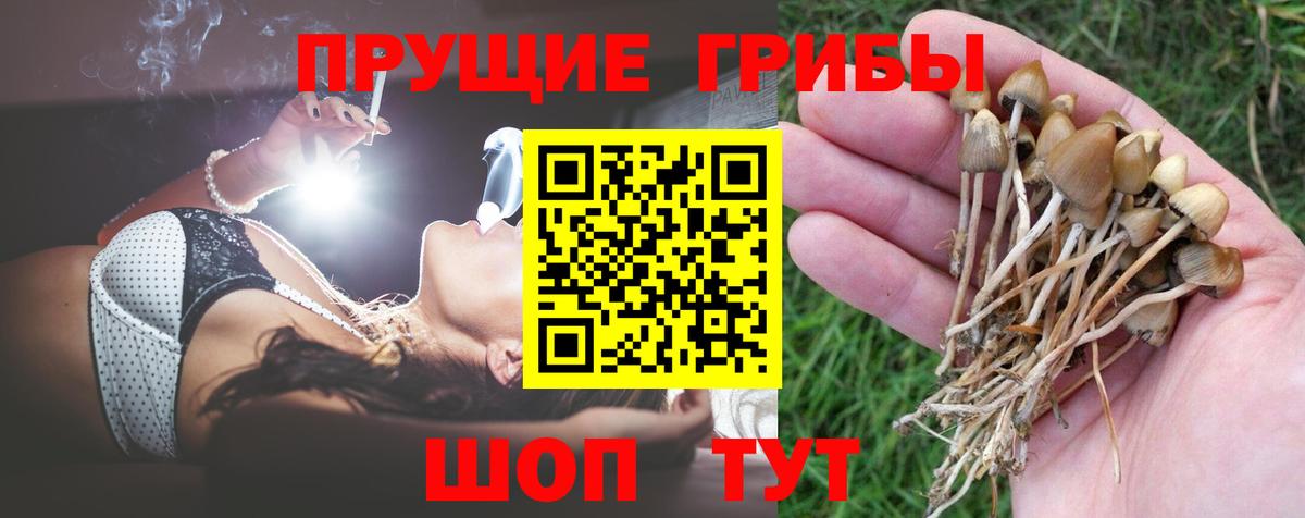 Майкоп  Псилоцибиновые грибы MAGIC MUSHROOMS  Галлюциногенные грибы MAGIC MUSHROOMS  Вход с VPN 